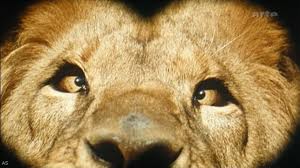 These white folks are driving me crazy to the point of making me cross-eyed!