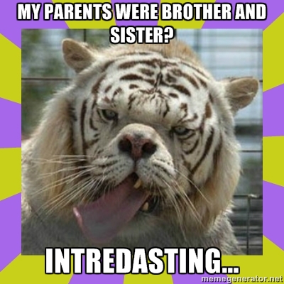 Hi, Mikey here. I am as crazy as a bag of hammers! It's because I am invred.